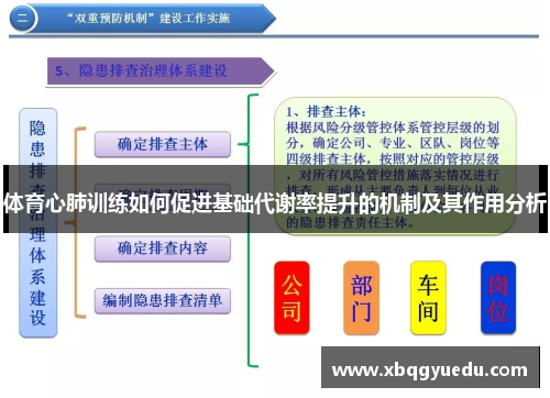 体育心肺训练如何促进基础代谢率提升的机制及其作用分析